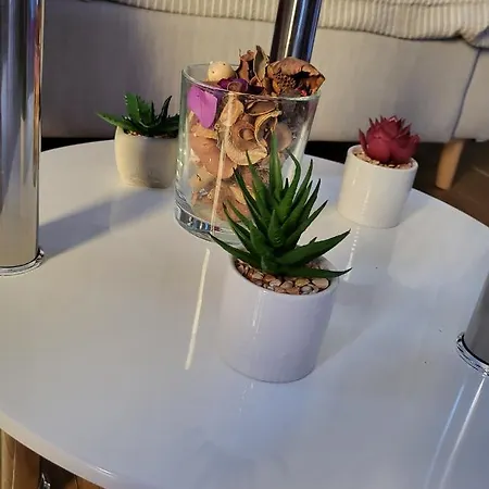 Rijeka Apartment With Free Parking And Large Balcony Exteriör bild