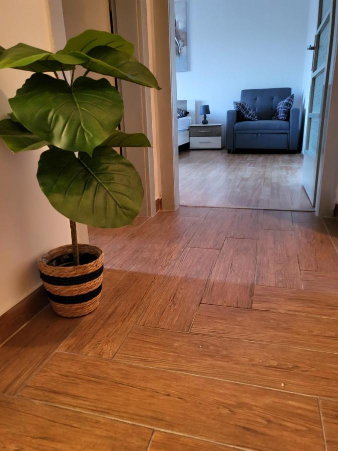 With Free Parking And Large Balcony